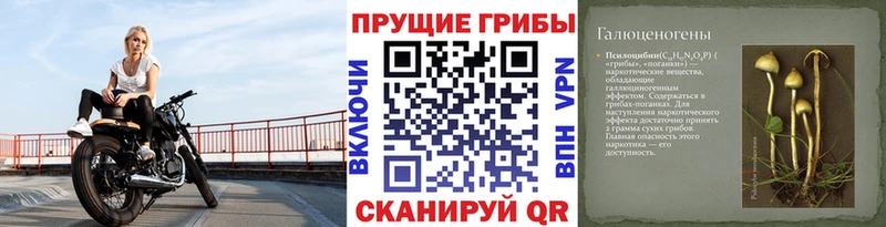 Псилоцибиновые грибы Cubensis  купить наркотики сайты  Юрьевец 